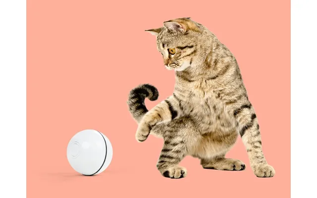 Roterende Aktivitetsbold Til Kat