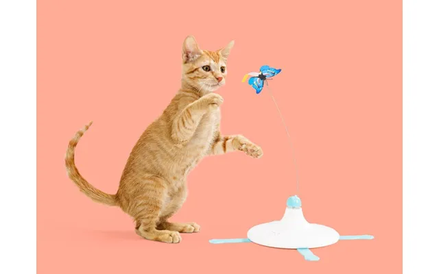 Sommerfugleaktivitetslegetøj Til Kat