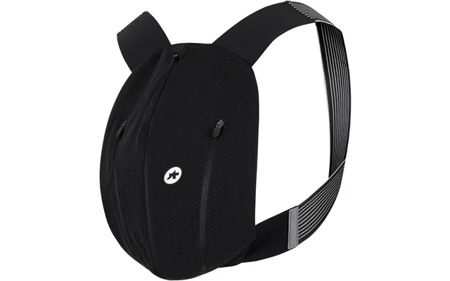 Assos Gt Spider Bag C2
