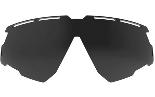 Rudy Project Defender Solbrilleglas - Smoke Black