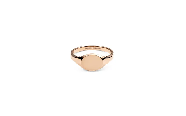 Daniel Wellington Dw Classic Signet 60 Rose Gold product image