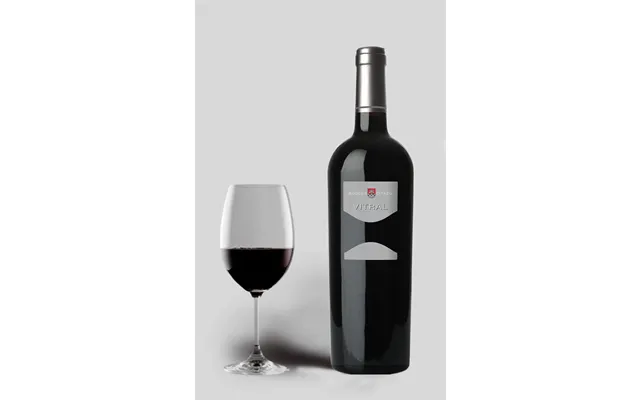 Bodega Otazu Vitral 2009