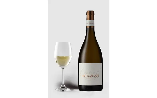 Erika O Meticulous Sauvignon Blanc 2019 product image