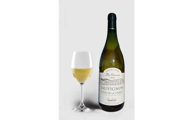 Jean Jacques Bardin Côtes De La Charite Sauvignon 2022 product image