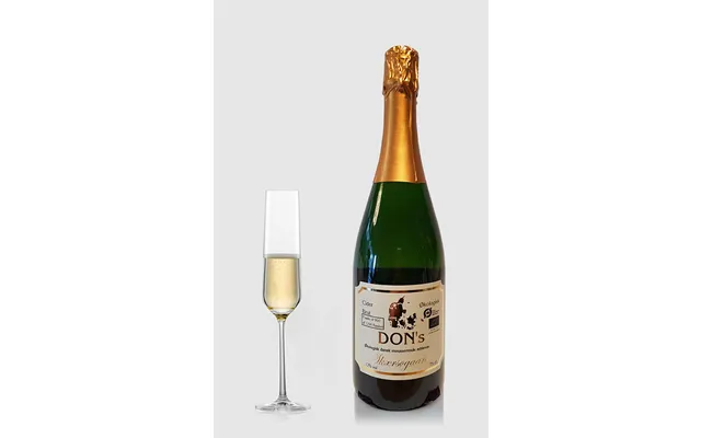 Skærsøgaard Øko Æblecider Brut