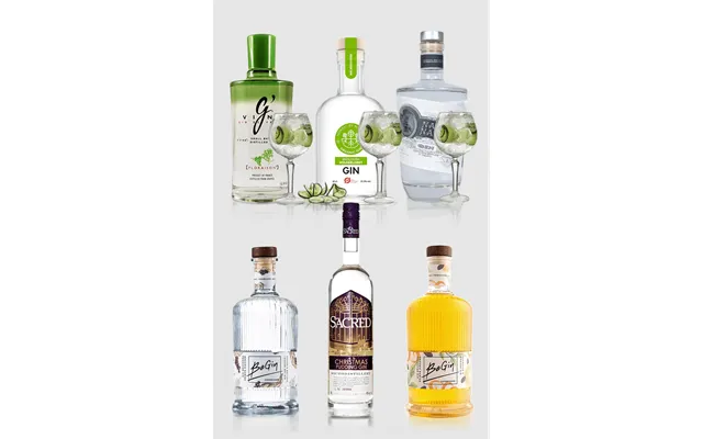 Smagekasse Med Forskellige Gin - 6 Flasker