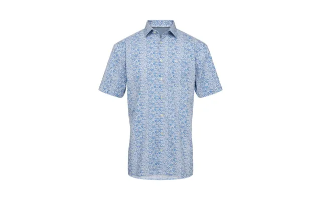 Shirt Box Reg Fit P P product image