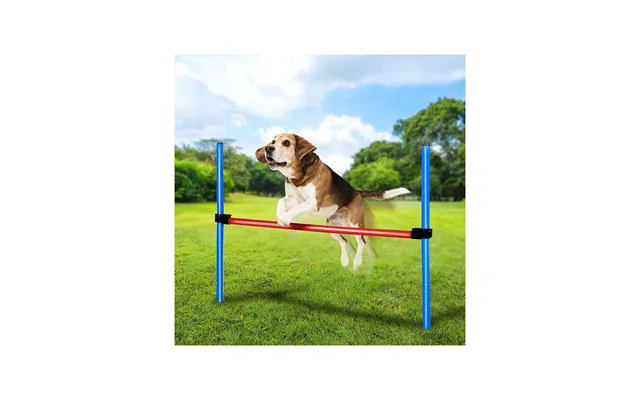 Agility Forhindring - 85 X 70 Cm