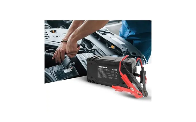 Automatisk Ensretter Til 12v Eller 24v Batteri