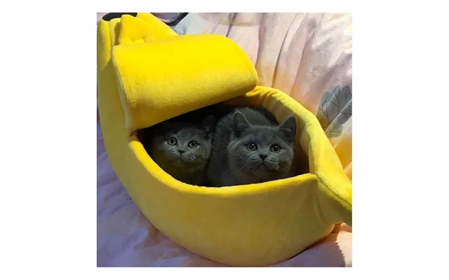 Bananformet Kattekurv
