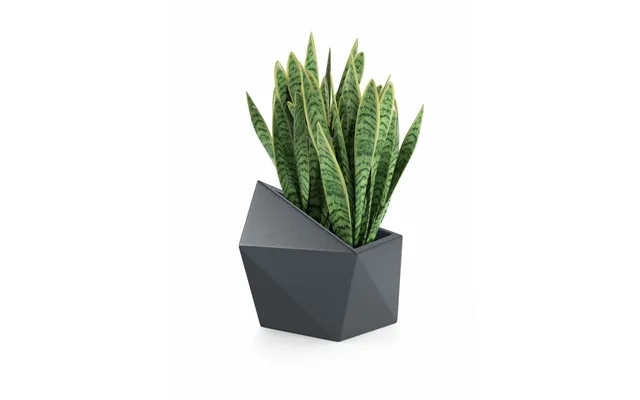 Designergryde Astro 47cm Højde - Antracit