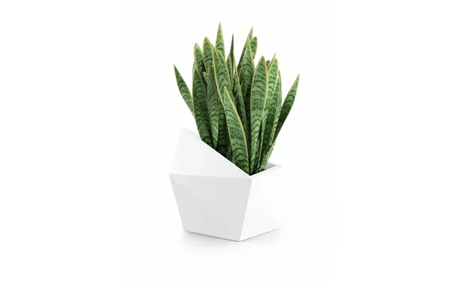 Designergryde Astro Hvid
