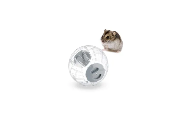 Hamsterkugle Med Gråt Låg