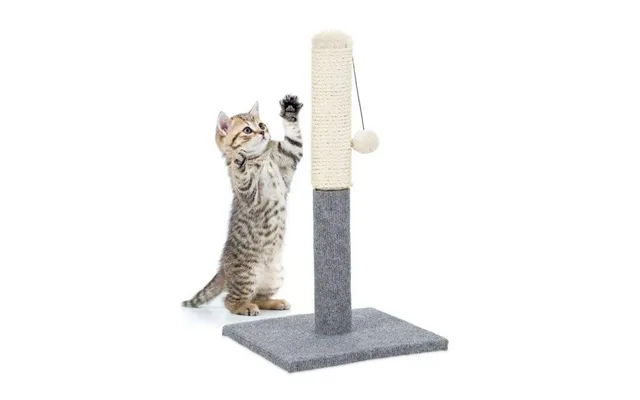 Kradsebræt Til Katte