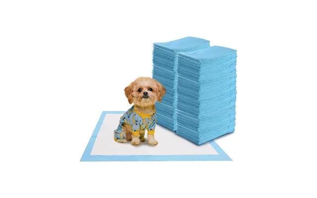 Pakke Med 100 Hundetræningspuder Med Lækagesikre 5-lags Design Hvalpepuder 60 X 60 Cm