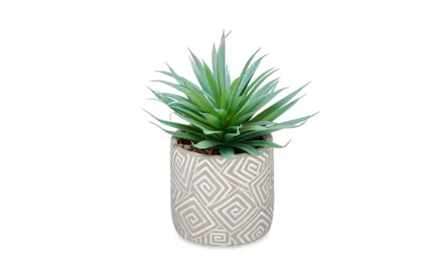 Potteplante Med Grå Potte