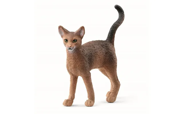 Abyssinierkat