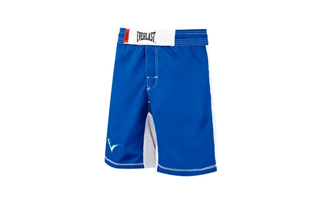 Mma Shorts - Blue