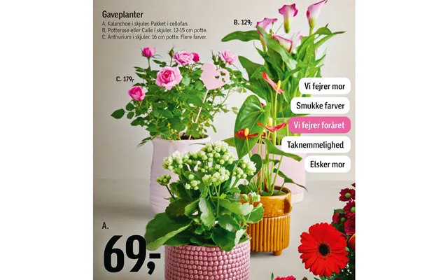 Gaveplanter A. product image
