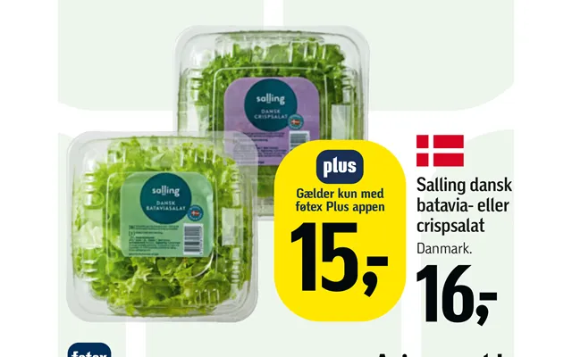 Salling Dansk Batavia- Eller Crispsalat product image