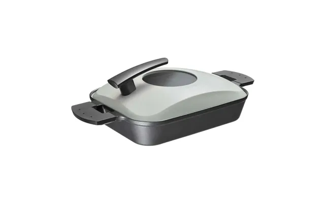 Witt Wgs2 - Steam Grill