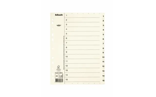 Esselte Register Servo A4 1-15 - 10 69876 Modsvarer N A