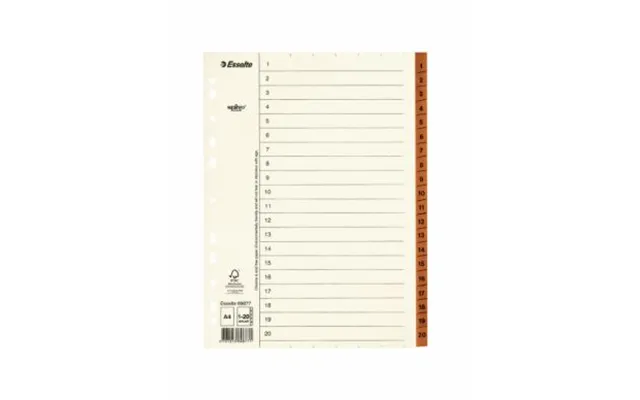 Esselte Register Servo A4 1-20 - 10 Stk. 69877 Modsvarer N A