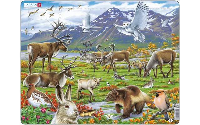 Puzzles In Cardboard Larsen - Tundraen product image