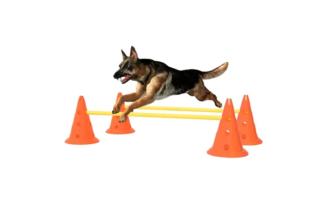 Forhindringsbanesæt Til Hunde Orange Og Gul
