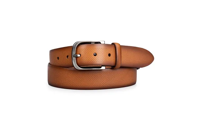 Lloyd C15-32002-oh Herre Bælte Brown 95