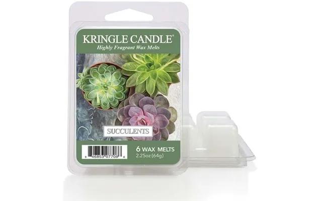 Kringle Candle Wax Melts Succulents 64 G
