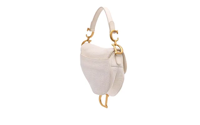 Dior Saddle Bag