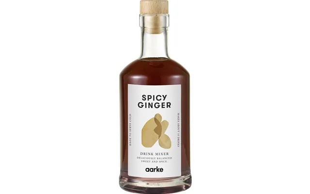 Drink Mixer Spicy Ginger