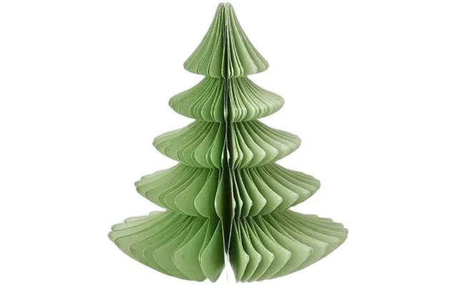 Paper Tree Evergreen Ming H 16 Cm