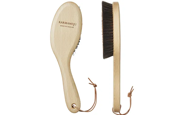 Recharge Ionic Dry Brush Long Act product image