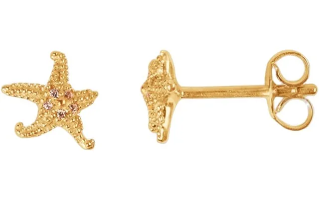 Starfish Studgp-b