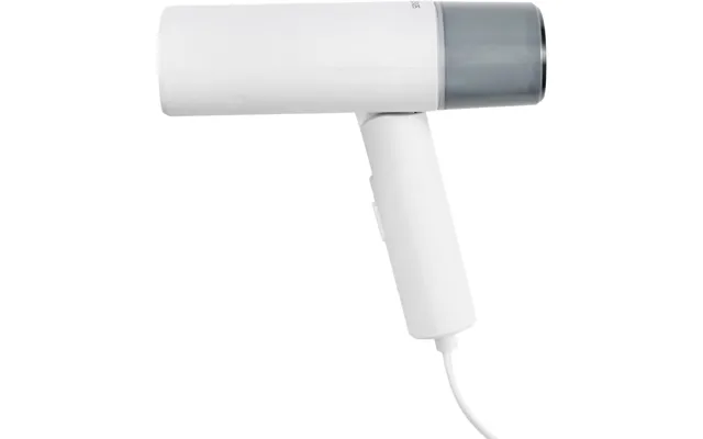 Steamer Ts100w
