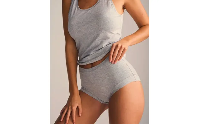 Jbs Of Denmark Women 3-pack Maxi Trusse-medium