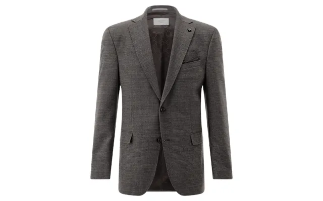 Sakko Jacket Cg Theo Sv