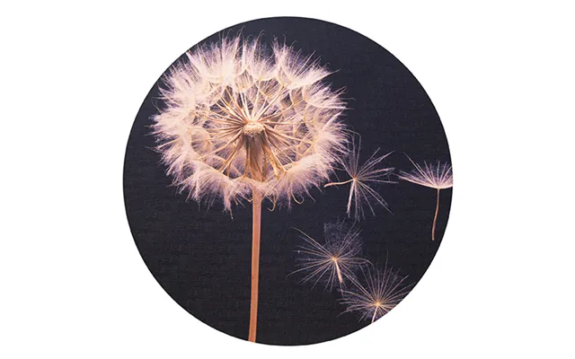 Kanvastryk On Island 60 Cm. Dandelion product image