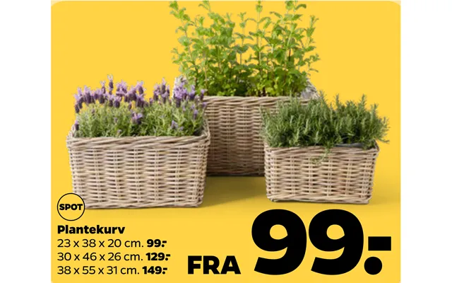 Plant basket product image