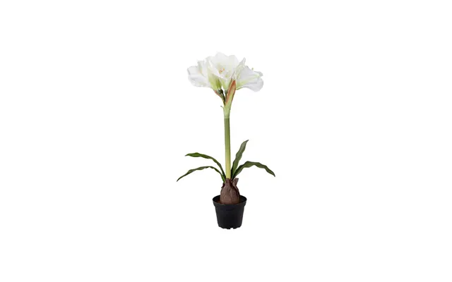Amaryllis Kunstplante Hvid