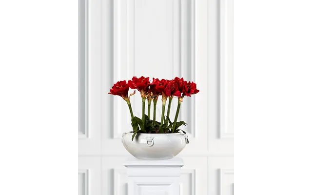 Amaryllis Kunstplante Rød