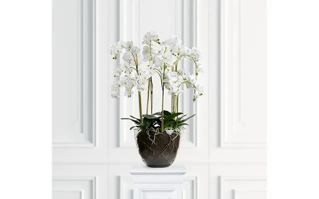 Kunstig Orkidé Potteplante Hvid product image