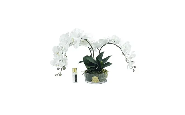 Orchidée Classique Gift Set