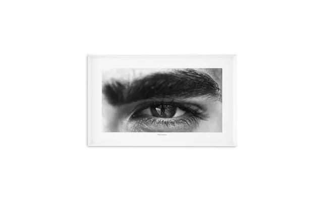 Philippe Vogelenzang The Gaze