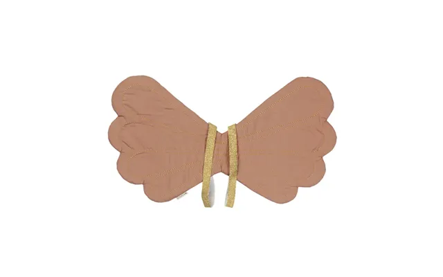 Dress-up - Wings