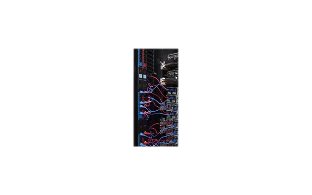 Apc Schneider Electric Color Coded Locking Power Cords
