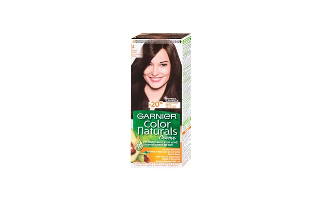 Garnier Color 4 Brown