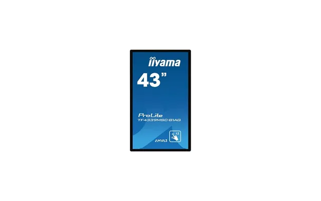 Iiyama Prolite